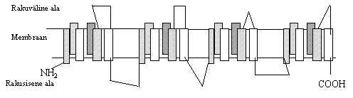 wpe19.jpg (9927 bytes)