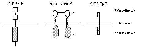 wpe2F.jpg (7943 bytes)