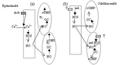 wpe4F.jpg (11495 bytes)