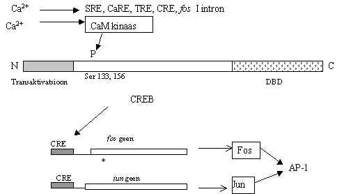 wpeA.jpg (14585 bytes)