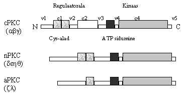 wpe5E.jpg (8840 bytes)