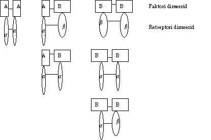 wpe61.jpg (11289 bytes)