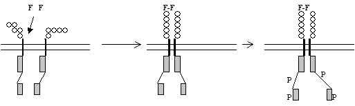 wpe62.jpg (8130 bytes)