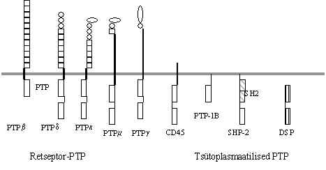 wpe66.jpg (12373 bytes)