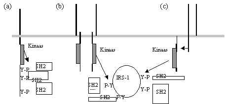 wpeD.jpg (11232 bytes)