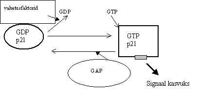 wpe68.jpg (8751 bytes)