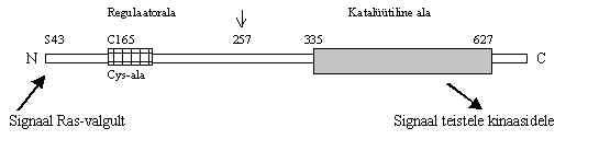wpe6A.jpg (8244 bytes)