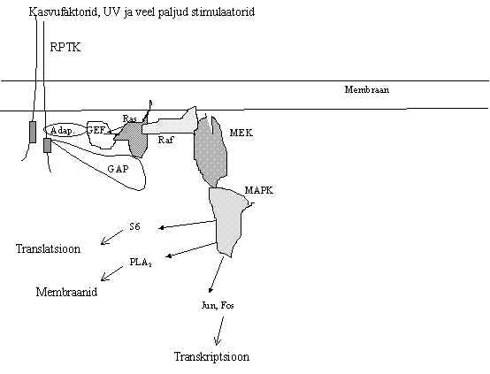 wpe6B.jpg (19009 bytes)