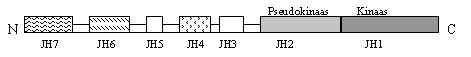 wpe6D.jpg (4639 bytes)