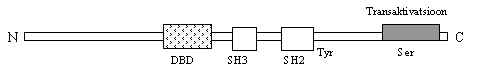 wpe6E.jpg (4580 bytes)