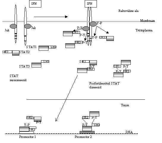 wpe6F.jpg (25031 bytes)