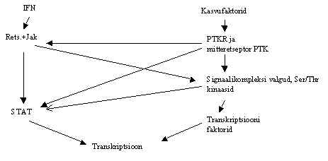 wpe70.jpg (11214 bytes)