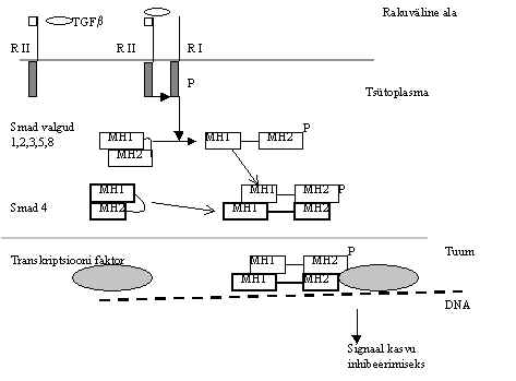 wpe71.jpg (17276 bytes)