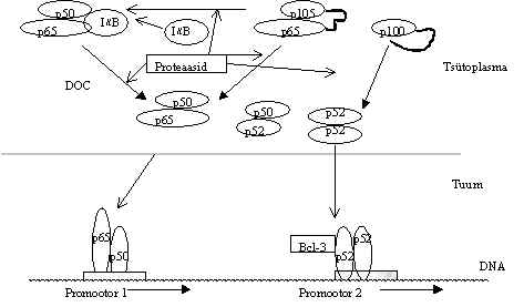 wpe75.jpg (16965 bytes)