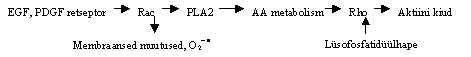 wpe18.jpg (4477 bytes)