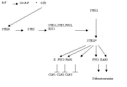 wpe8.jpg (12713 bytes)